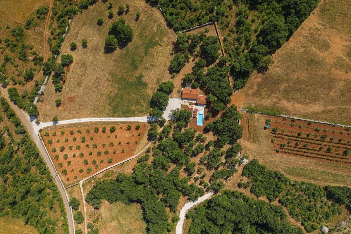 Villa Martinetinka Vodnjan Ngoại thất bức ảnh