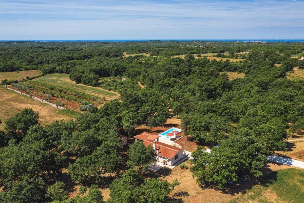 Villa Martinetinka Vodnjan Ngoại thất bức ảnh