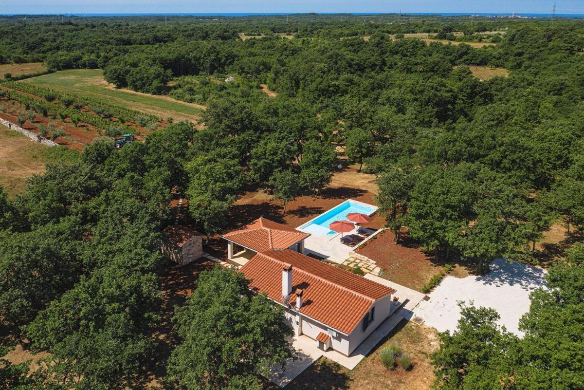 Villa Martinetinka Vodnjan Ngoại thất bức ảnh